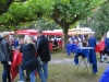 2017-09-02_18-23-49_Bilder Musik im Park 2017 (T. Thomas)