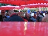 2017-09-02_19-09-28_Bilder Musik im Park 2017 (T. Thomas)