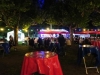 2017-09-02_20-56-59_Bilder Musik im Park 2017 (T. Thomas)