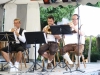2017-09-03_16-33-14_Bilder Musik im Park 2017 (A. Thomas)