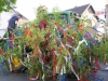 2017-04-30_173031_Bilder Tanz in den Mai 2017 (A. Thomas)