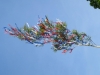 2017-04-30_173630_Bilder Tanz in den Mai 2017 (A. Thomas)