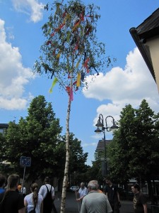 maibaumneusetzen2011_03